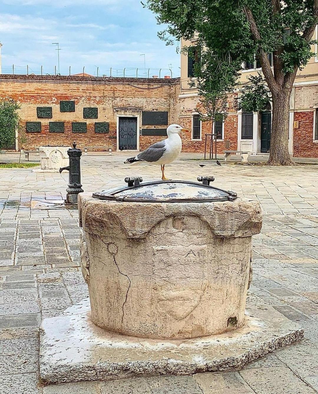 Ca'rosa Venecia
